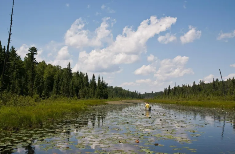 Governor signs order to slow down mining near wilderness park